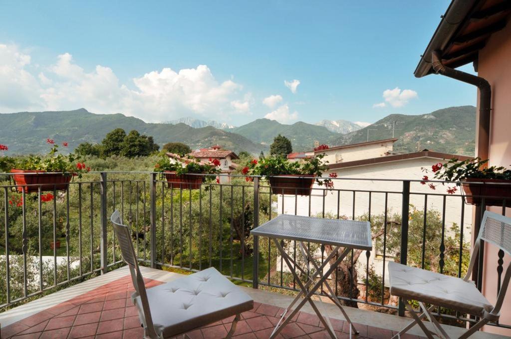 La Madonnina Bed and Breakfast Querceta Eksteriør billede